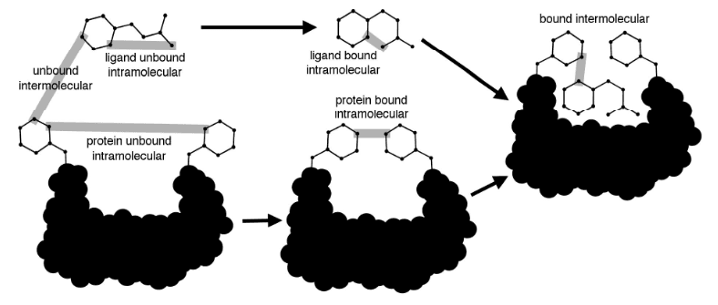 AutoDock — molecular docking software